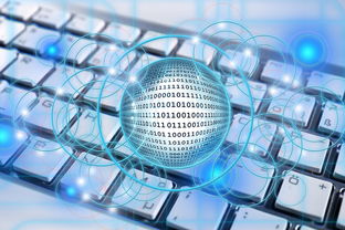 开云在线直播-体育课程数字化资源整合策略研究,体育数字化转型存在的问题