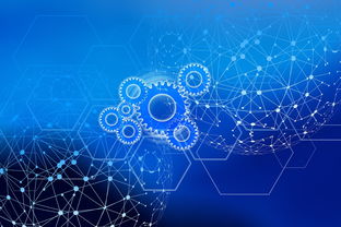 开云在线直播-体育课程数字化资源整合策略研究,体育数字化转型存在的问题