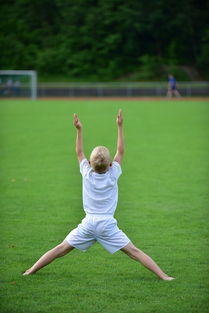 开云·体育官方网站入口-高校体育赛事观众体验提升，高校体育赛事观众体验提升方案